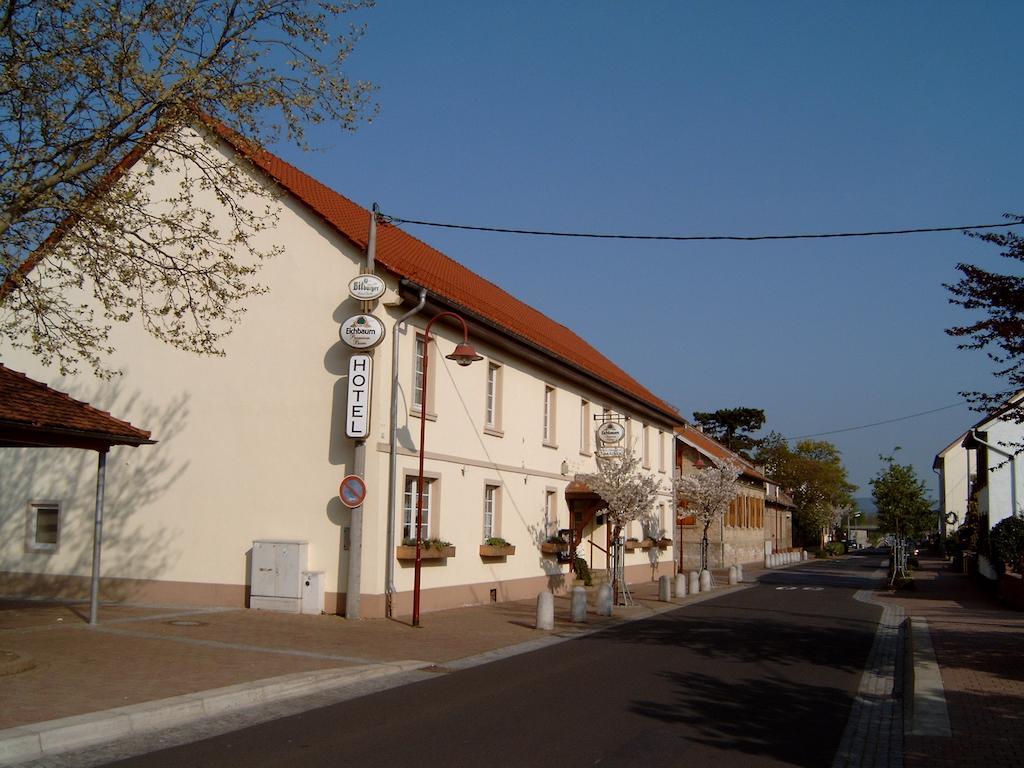 Garni Zum Adler Hotel Gensingen Buitenkant foto